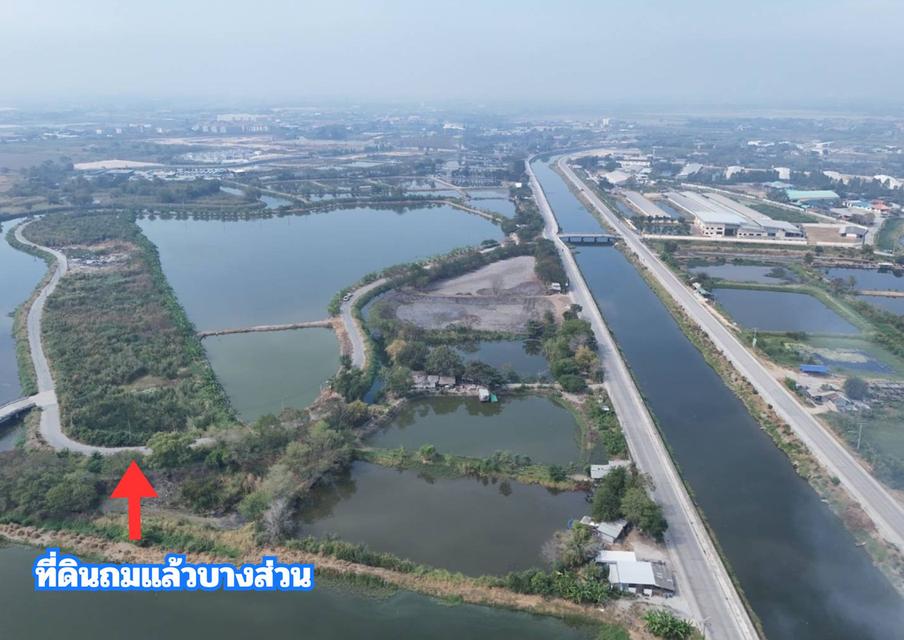 ขายที่สีม่วง 46 ไร่ ใกล้ถนนเลียบมอเตอร์เวย์ สาย 7 ใกล้นิคมอมตะ ชลบุรี  ต.บางนาง อ.พานทอง จ.ชลบุรี 3