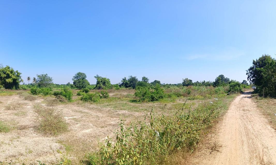 ขายที่ดิน แก่งกระจาน จ.เพชรบุรี 4