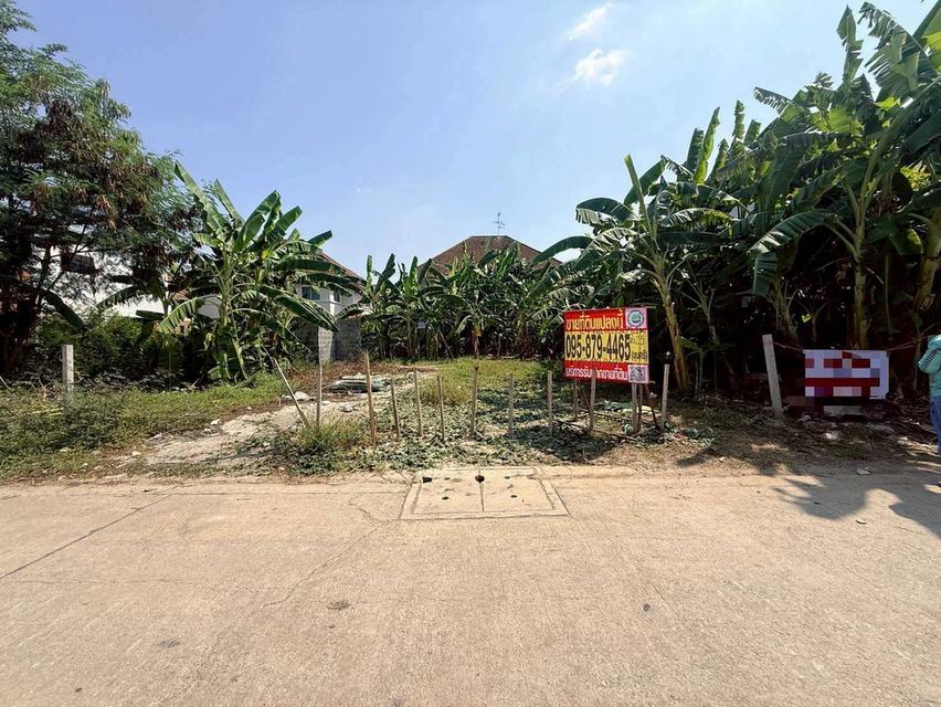 ขายถูกที่ดินลาดสวาย 124 ตรว ติดถนนคอรกรีตสาธารณะ ถมแล้ว ซ.ร่วมสุข 3 อ.ลำลูกกา จ.ปทุมธานี รูปย่อยที่ 4