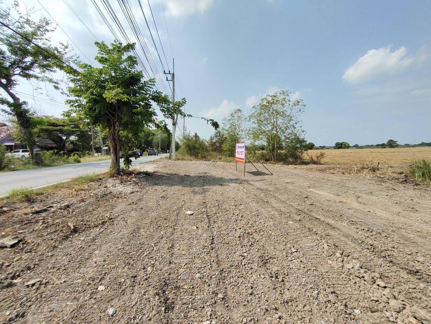 ขายที่ดิน เสนา อยุธยา 7 ไร่ 3 งาน 11.2 ตร.วา 3