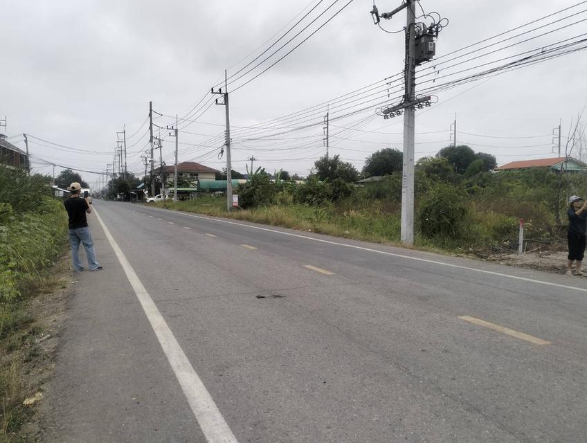 ขายที่ดิน1ไร่ถนนเชียงรากน้อย อ.บางปะอิน จ.พระนครศรีอยุธยา 7