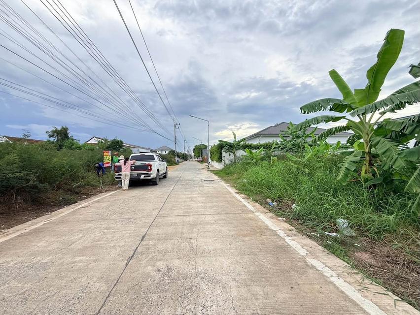ขายด่วนที่ดิน 100 ตรว ติดถนนคอนกรีตสาธารณะ ซ.บงกช 71 อ.คลองหลวง จ.ปทุมธานี 8