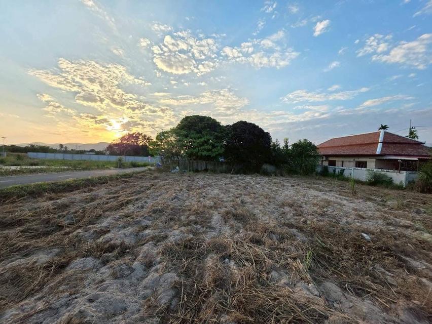 ขายที่ดินเปล่า แปลงสวยติดถนนสองด้าน บางเสร่ ชลบุรี 7