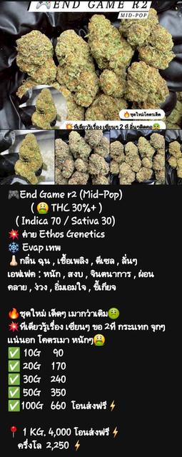 กัญๆ📲💯 16