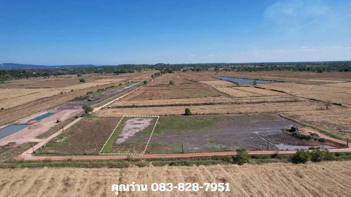 ขายที่ดิน 1 ไร่ มีโฉนด อ.ปากพลี ขายพร้อมโอน 420,000 บาท 1