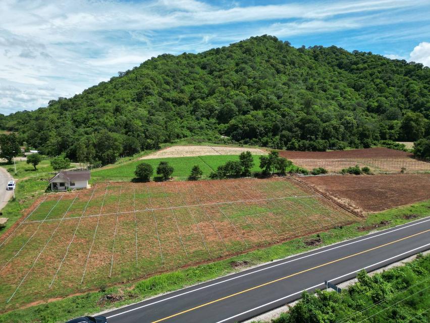 ที่ดินติดลาดยางหลัก กาญจนบุรี 6
