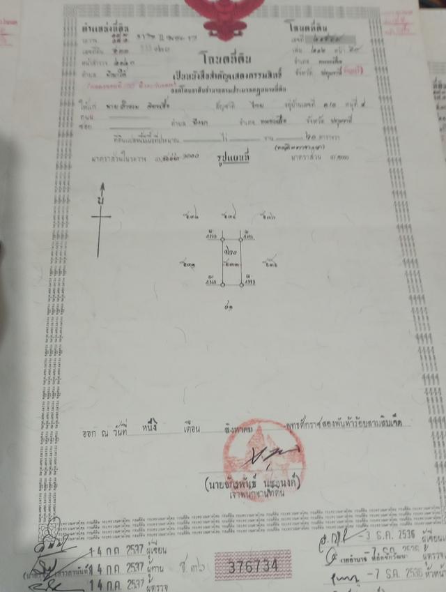 ที่ดินคลอง10 หนองเสือ  แปลงละ60 ตารางวา ราคา300000บาท 5