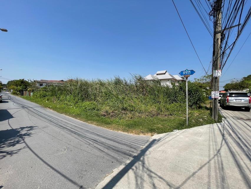 ขายด่วนที่ดินแปลงสวย อ่อนนุช 66 ใกล้ BTS ทิศใต้แปลงมุม 176 ตรว ตรวละ 42,000  บาท เหมาะปลูกบ้านโฮมทาวน์ปลูก บ้าน ออฟฟิคโกดัง ทำสวนเล็กๆปล่อยให้คนเช่า 9