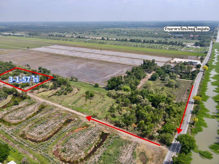 ขายที่ดินนพรัตน์ 3 ไร่ คลอง11 เข้าซอยจากถนนใหญ่3022-200เมตร อ.หนองเสือ ปทุมธานี 7