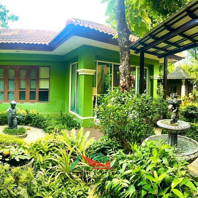 ขายบ้านเดี่ยว194.2ตรว. หลังมุม ม.วรารมย์99 เพชรเกษม81 แต่งสวย บรรยากาศร่มรื่นต้นไม้เยอะมาก 2