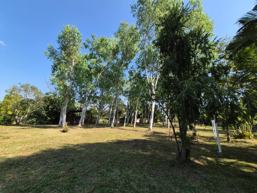 ที่ดิน ใกล้เชียงใหม่ไนท์ซาฟารี และ พืชสวนโลก จังหวัดเชียงใหม่ 5