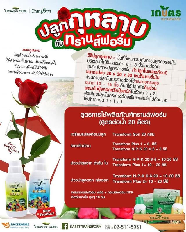 ปุ๋ย transform n p k สูตร 6 6 20 รูปย่อยที่ 4