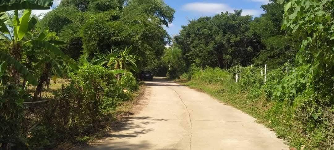 ที่โฉนด ขนาด110มีตรว ราคา280,000ห่าง7-11เพียง1โล  ไฟฟ้าถึงหน้ากว้างติดถนนคอนกรีต17เมตร ด้านในมีต้นไผ่ ขนุน,น้อยหน่า,มะม่วง,กล้วย ต้นสัก,ตะไคร้ 8