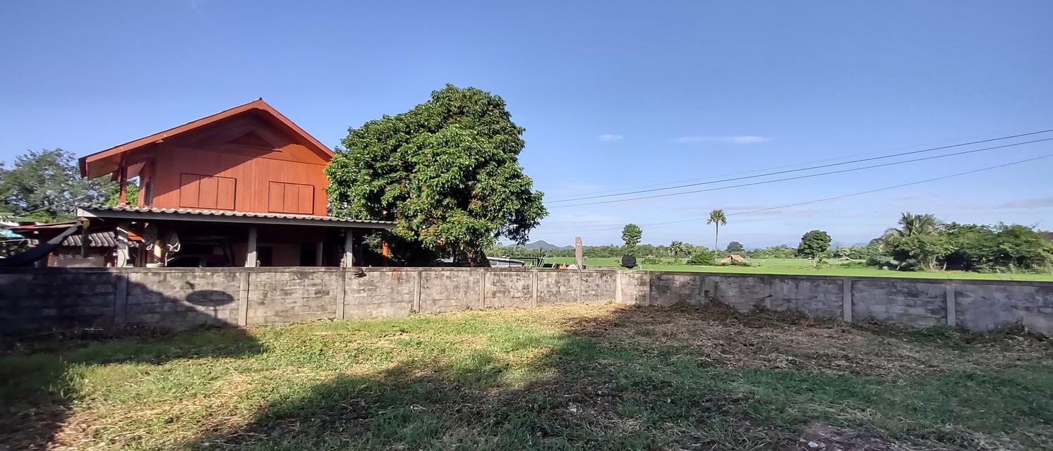 ที่สำหรับสร้างบ้าน 115ตรว 490,000อยู่บ้านนาแก้วตะวันออก ต.นาแส่ง อ.เกาะคา จ.ลำปาง วิวเขา วิวทุ่งนา อยู่กลางชุมชนห่างถนนพหลโยธิน 80เมตร ห่าง7-1 5