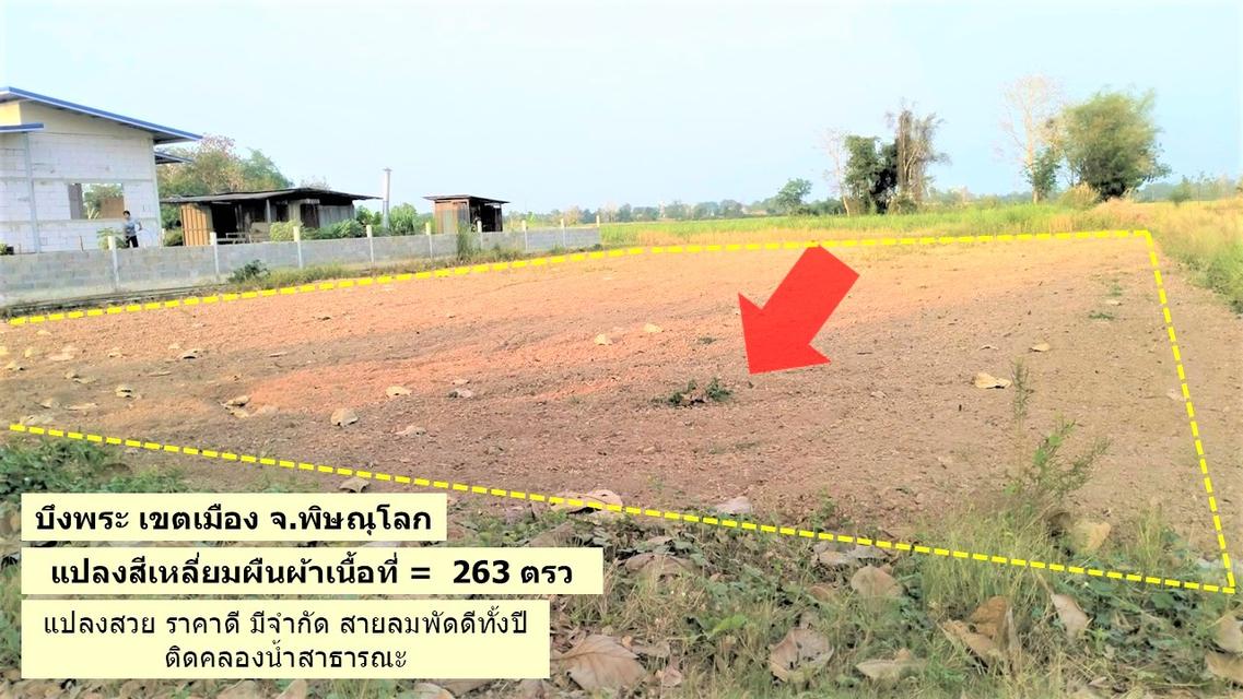 ที่ดินทำเลดี แปลงสวยโซนบึงพระใกล้เมืองพิษณุโลก 4