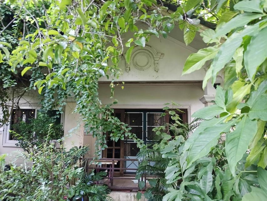 ขายบ้านเดี่ยว หมู่บ้านศาลายาพาร์ควิลล์ เนื้อที่ 68.7 ตร.ว. 9/53 หมู่ 1 ต.คลองโยง อ.พุทธมณฑล จ.นครปฐม 1