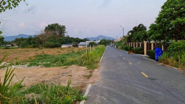 ขายที่ดินวิวเขา บางเสร่ 1ไร่ | เหมาะทำรีสอร์ท/บ้านพัก/เพื่อการลงทุน/Land for Sale in Bangsary. 4