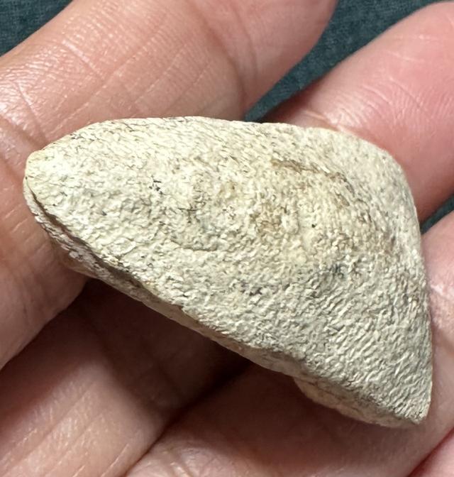 หลวงปู่ทวด เนื้อขาว องค์ละ 1550 รูปที่ 14