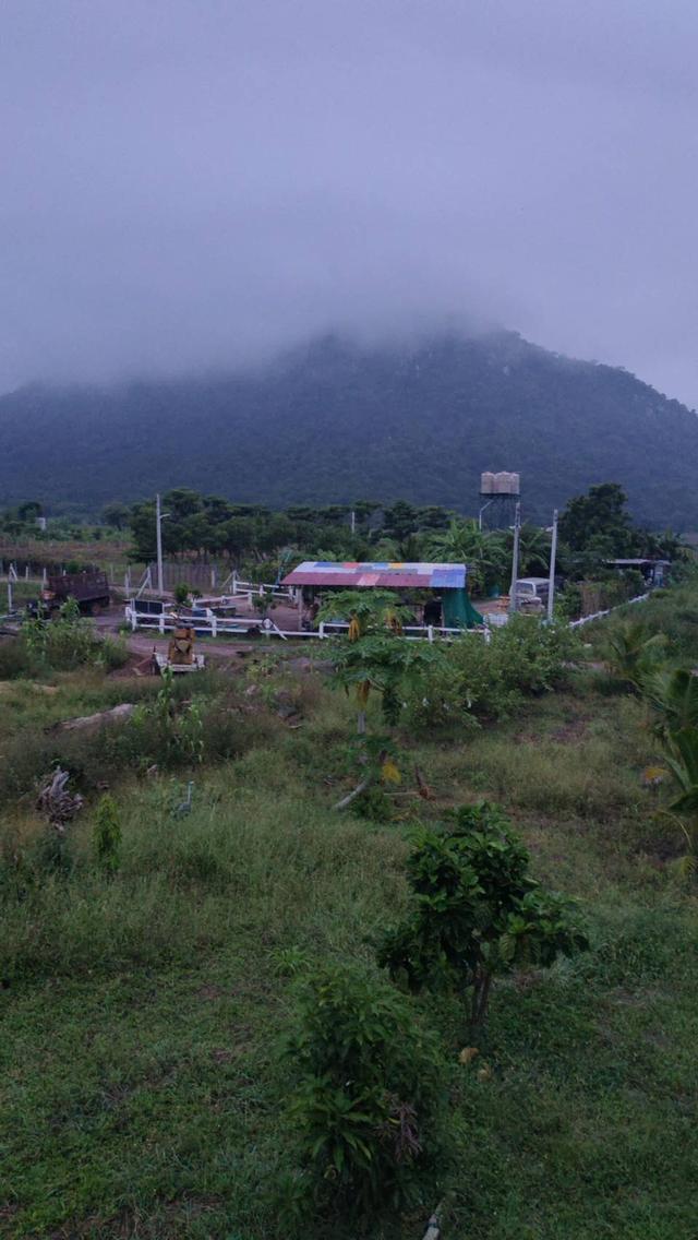 ขายที่ดิน 1ไร่ พร้อมปลูกบ้าน น้ำไฟพร้อม บรรยากาศดีวิวหมอกไกล้ภูเขา โฉนด 6
