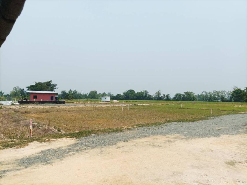 ขายที่ดิน ราคา4,500บาท/ตร.ว. ต.สง่าบ้าน อ.ดอยสะเก็ด เชียงใหม่ 4