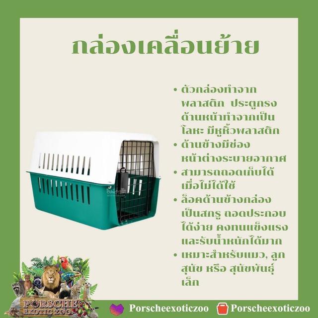 อาหารและอุปกรณ์สัตว์เลี้ยง