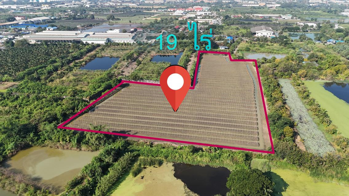 ที่ดินอสังหาริมทรัพย์ 1