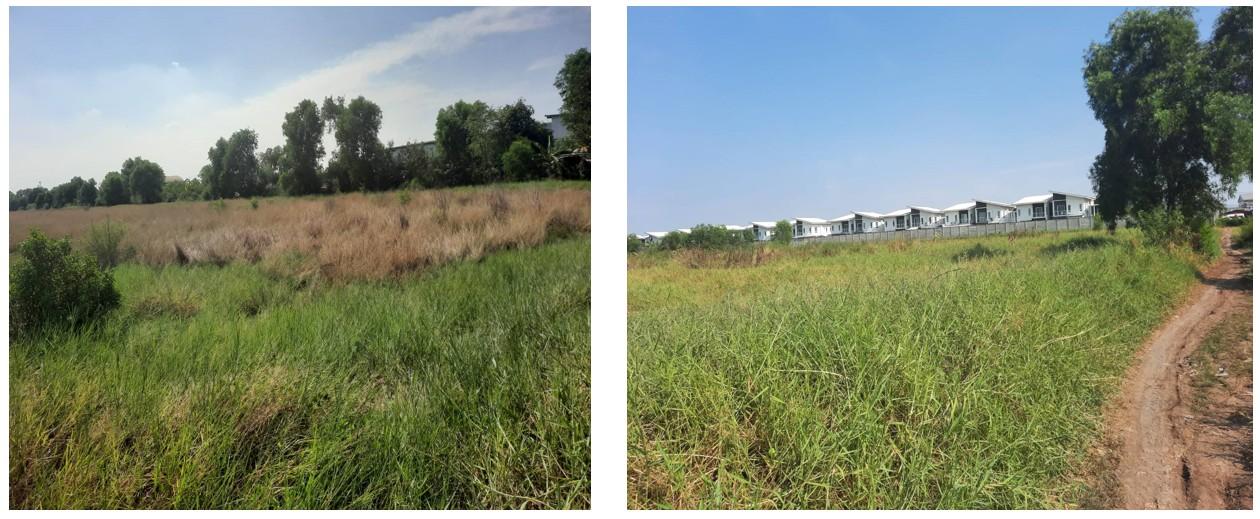 [ขายด่วน!] ที่ดินแปลงใหญ่ 146 ไร่ 1 งาน 30 ตร.วา ลำลูกกา คลอง 7 ติดถนน 4 เลน ทำเลทองสำหรับโครงการจัดสรรและอุตสาหกรรม 4