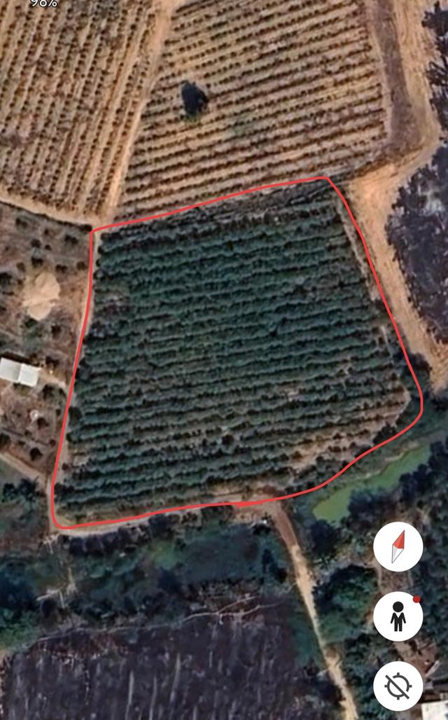 ที่ดินทำสวนหรือบ้านพัก ปราจีนบุรี 1