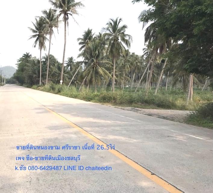 ขายที่ดินศรีราชา 26-1-99ไร่ หน้ากว้าง 112เมตร ตำบลหนองขาม ศรีราชา ชลบุรี ผังเมือง EEC สีเหลืองอ่อนที่ดินห่างจาก ทล.331 ประมาณ 4.5กม.ใกล้อ่างเก็บน้ำหนอ 1