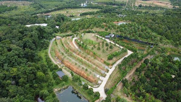 สวนทุเรียนขั้นบันได บ้านตากอากาศบนเขา พร้อมโฉนด! วิวหลักล้าน 11ไร่ อ.มะขาม จันทบุรี โทร 0830132000 1