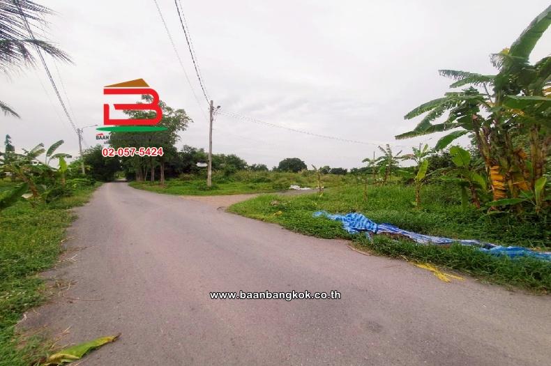 ที่ดินเปล่า ติดซอยสมหวัง เนื้อที่ 357 ตร.ว แขวงเจียระดับ เขตหนองจอก(เจียระดับ) กรุงเทพมหานคร 5