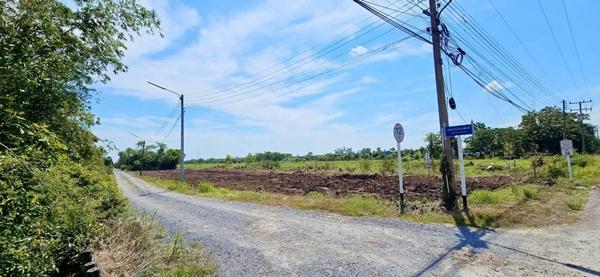 R002-3 ขายที่ดินหนองเสือคลอง11 #ขายที่ดินหนองเสือคลอง11ปทุมธานี  ที่ดิน70 ตรว.ราคา 299,000บาท สนใจโทร. 086 337 4861 เรณู. #ที่สวยทำเลดีติดถนนลาดยาง 8