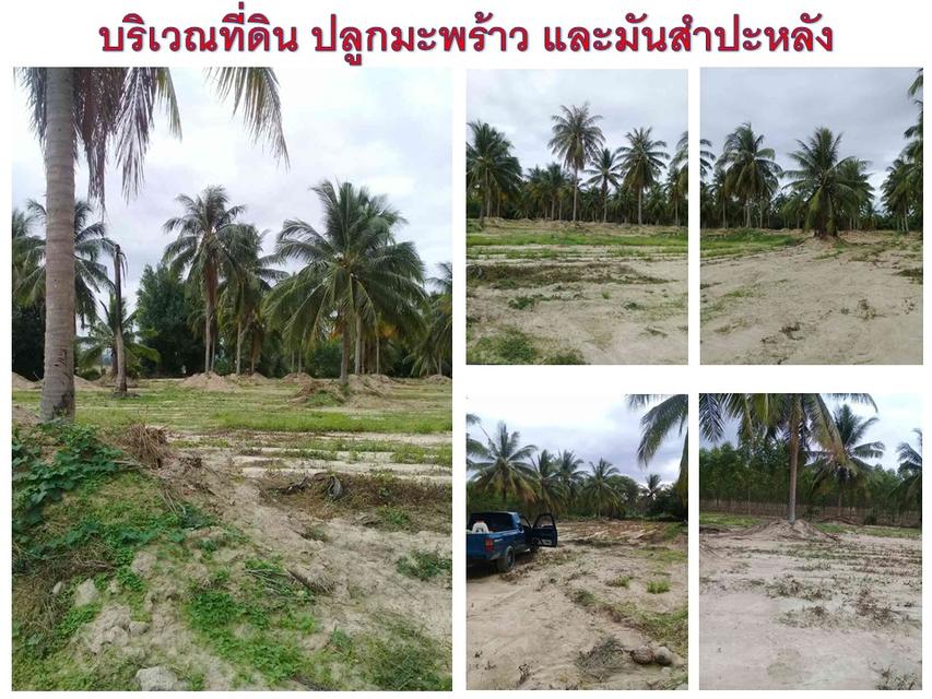 ขายที่ดิน   14 ไร่ 3 งาน 14 ตร.วา ต. ห้วยใหญ่  3