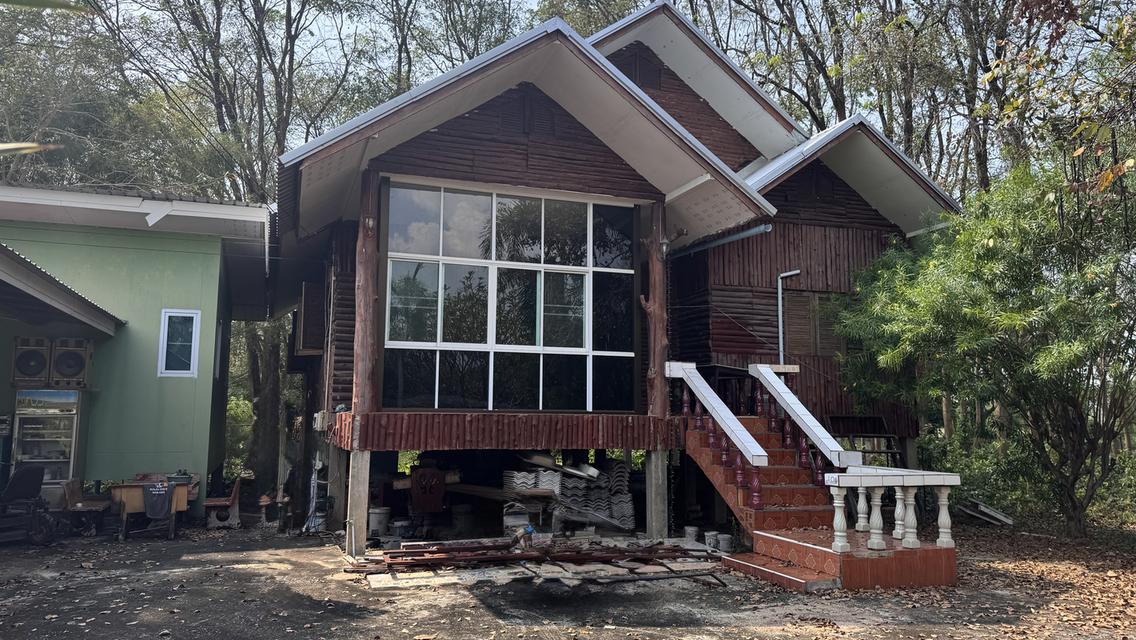 ขายที่สวน11 ไร่ พร้อมบ้าน2 หลัง มีรั้วล้อมรอบ ประตูรีโมท และรั้วล้อมสวน4ด้าน พร้อมต้นประดู่ ต้นกล้วย มะม่วง กระท้อน มะนาว มะกรูด 1