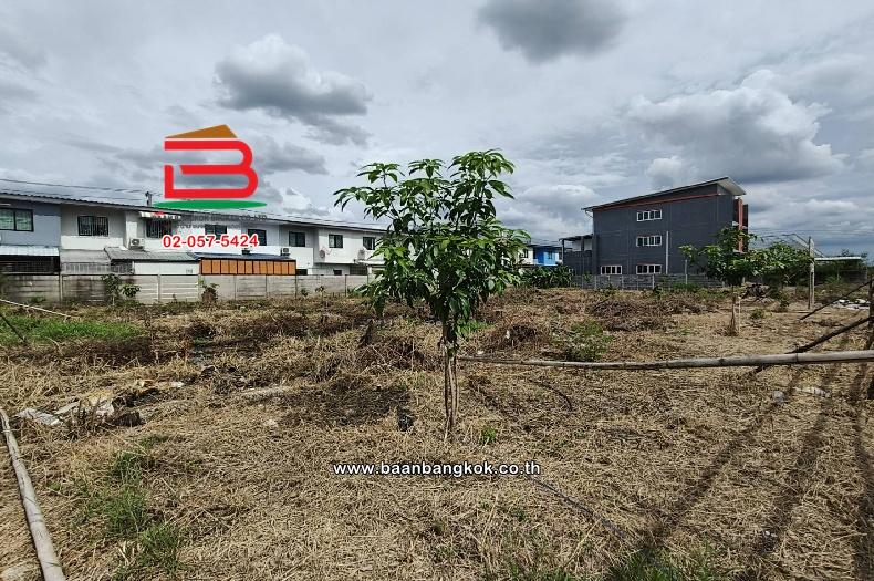 ที่ดินเปล่า ซอยลำลูกกา 45 เนื้อที่ 365 ตร.ว (ใกล้บิ๊กซีลำลูกกาคลอง 4) ตำบลลาดสวาย อำเภอลำลูกกา ปทุมธานี 4