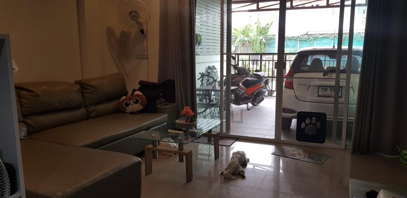 Townhouse Hua Hin 102 / 3 bedroom 3 bathroom 4