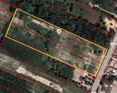 ขายที่ดิน50ไร่ทำเลสวย อ.แกลง จ.ระยอง 2