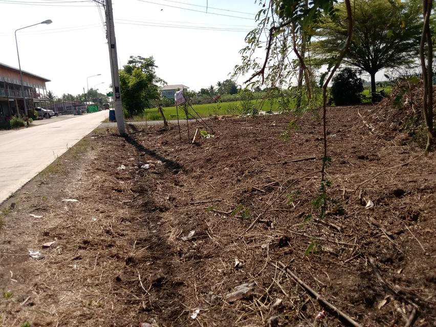 ที่ดิน 100 ตรว. บ่อเงินซอย 8 ต.บ่อเงิน อ.ลาดหลุมแก้ว จ.ปทุมธานี 15