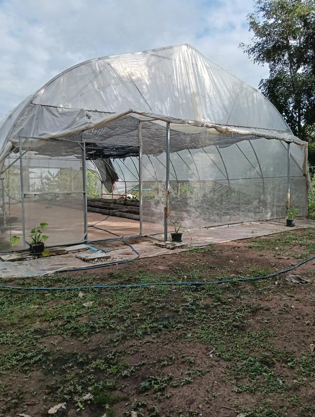 ที่ดินพร้อมโรงงาน+ห้องเย็น+โรงปลูกผักออแกนิค 12