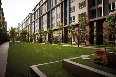 ให้เช่า DCONDO CAMPUS RESORT บางนา 30 ตรม แต่งโดยสถาปนิกผู้ชำนาญงาน 6