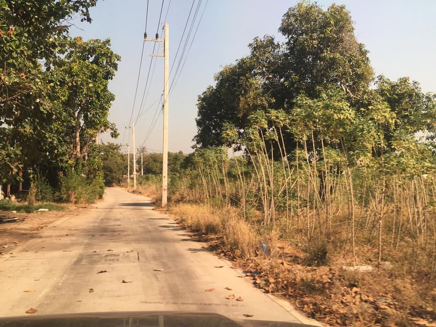 ขายที่ดิน 32ไร่ เหมาะพัฒนาอสังหาริมทรัพย์ หรือสร้าง โกดัง,คลังสินค้า หน้ากว้าง 270เมตร ลึก 200 เมตร ใกล้วัดหนองขาม ต.หนองขาม อ.ศรีราชา จ.ชลบุรี 4