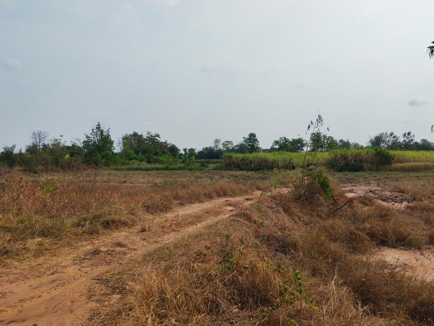 ขายด่วนที่ดิน ขายด่วน ที่ดินสวยแปลงใหญ่ 2แปลงติดกัน ไร่ละ 86,000 บาท จำนวน46-3-31 ไร่ และ 17-0-25 ไร่ เจ้าของคนเดียวกัน เป็นที่ไร่ผสมนา ติดทางสาธารณะท 12