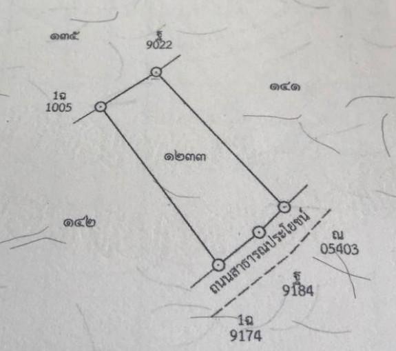 ที่ดินเปล่าทำเลดี ราคาจับต้องได้ บ้านโพธิ์ ฉะเชิงเทรา 5