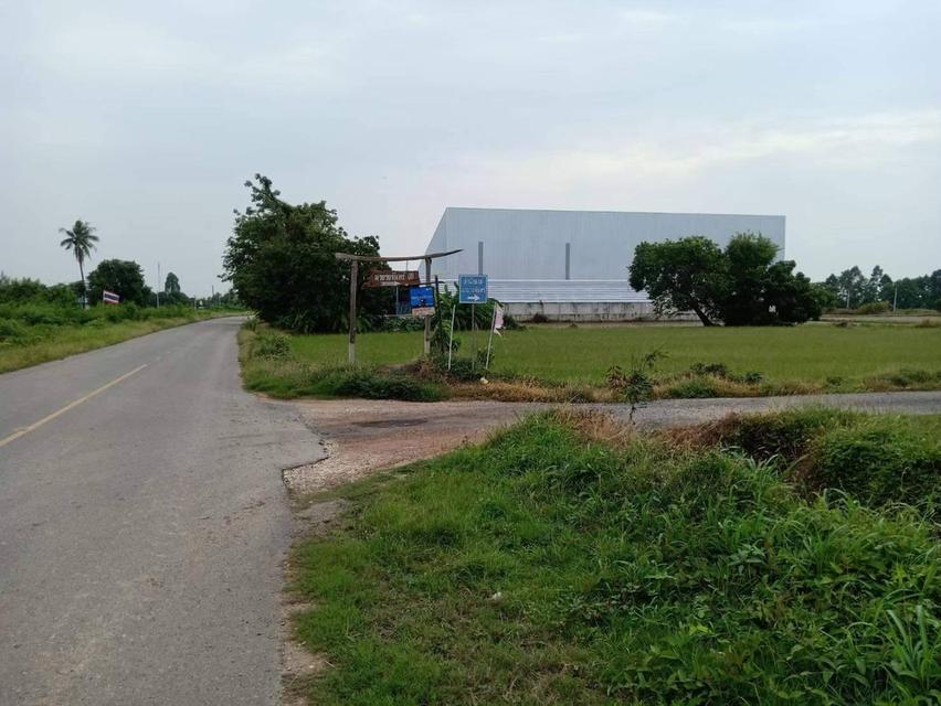 ขายที่ดิน 9.2 ไร่ พิษณุโลก ในเมือง 9