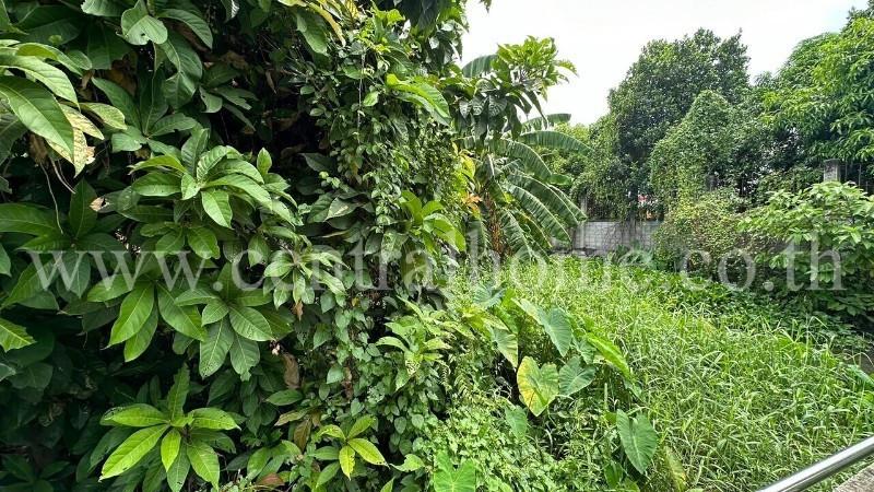 ที่ดินเปล่า พร้อมสิ่งปลูกสร้าง 1 ไร่ ถนนเลียบคลองประปา ฝั่งแจ้งวัฒนะ ทำเลดี 6