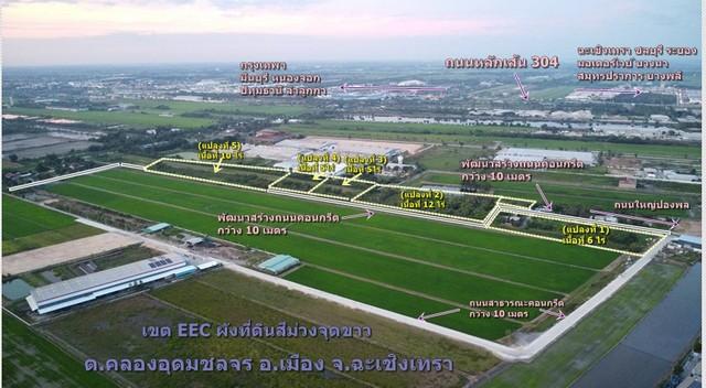 ขายที่ดินทำเลทองเขตEEC 5ไร่-40 ไร่ฟรีถมดินให้เสมอถนน คลองอุดมชลจร เมืองฉะเชิงเทรา ผังที่ดินม่วงจุดสีขาวเหมาะสร้างโรงงานท