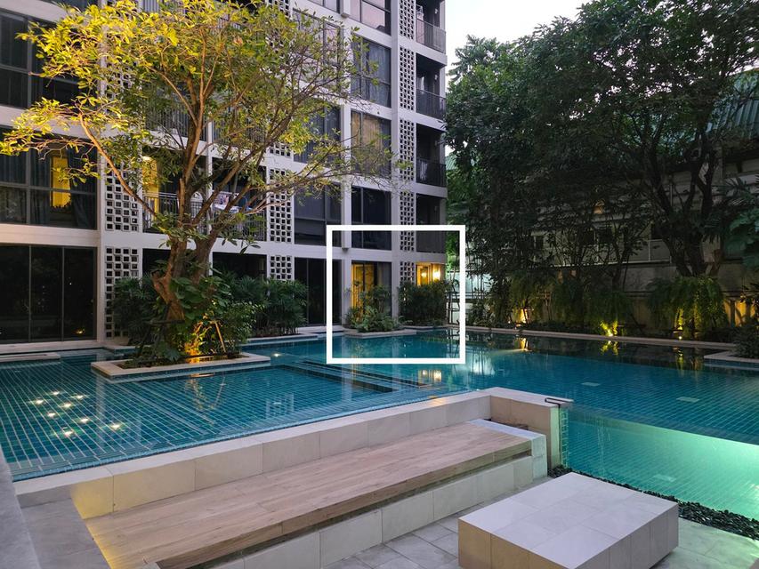 ขาย/ให้เช่า คอนโด Chambers On Nut Station : Pool Access Rare item ห้องเดียวของโครงการ เงียบสงบ BTS อ่อนนุช 300ม. 1