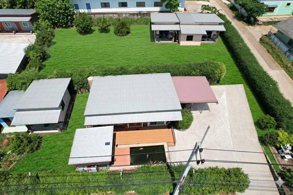 ขายบ้านพร้อมที่ดินและที่ดินเปล่าเชียงราย 3