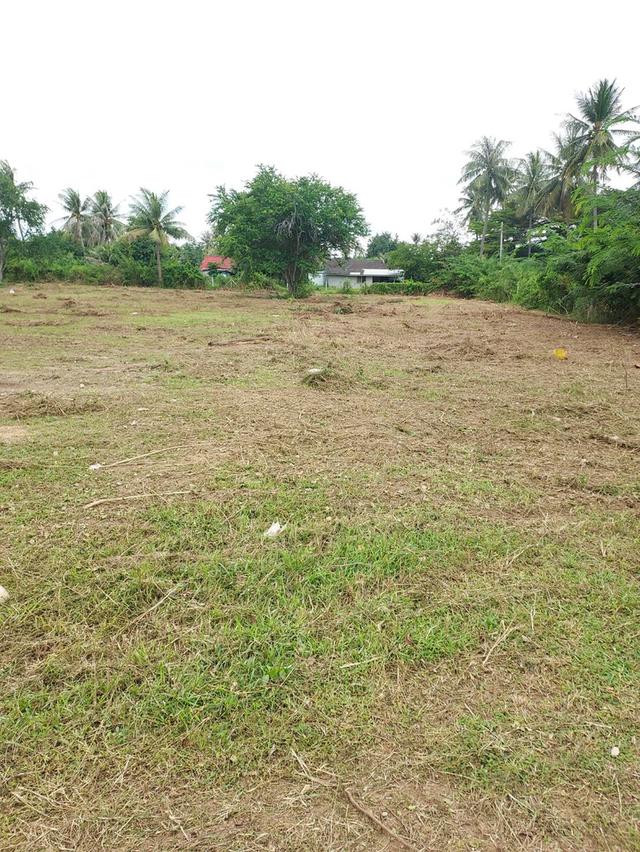 ที่ดิน 9 ไร่ 3 งาน พื้นที่ คั่นกระได ต.อ่าวน้อย อ.เมือง จ.ประจวบ