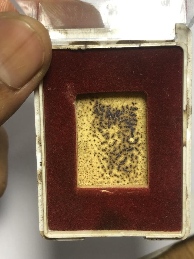 พระหางหมาก หลวงพ่อฤาษีลิงดำ วัดท่าซุง 6